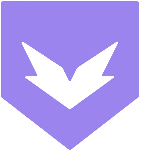HypeSquad Bravery